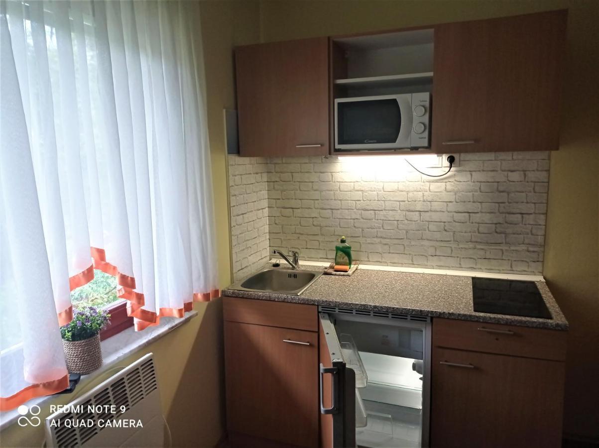 Apartments Lake Bohinj Medja מראה חיצוני תמונה