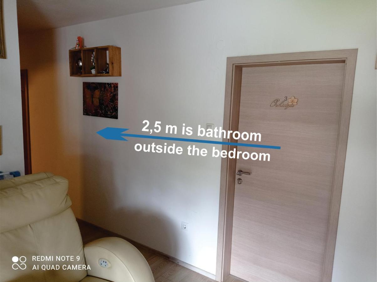 Apartments Lake Bohinj Medja מראה חיצוני תמונה